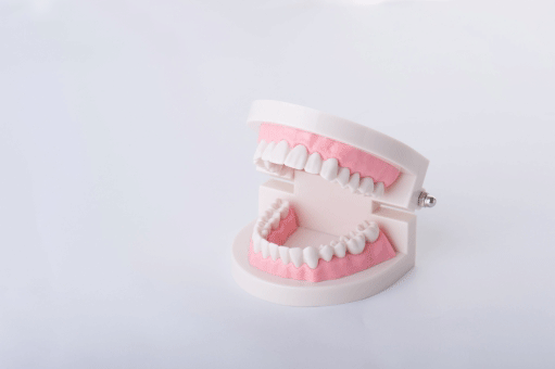 健康な歯とお口でいるために「予防歯科」をはじめましょう